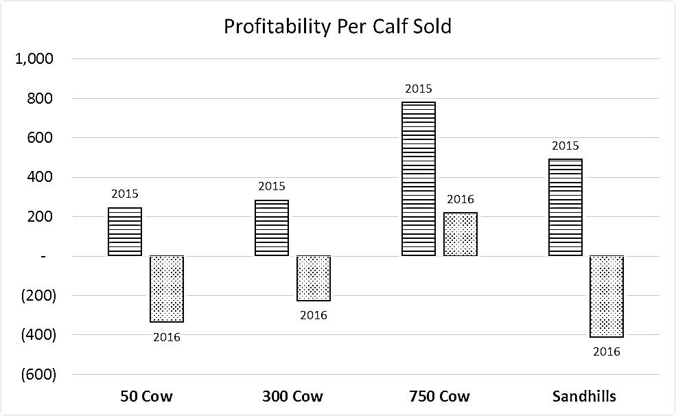 Profitability per calf sold 2015 vs 2016
