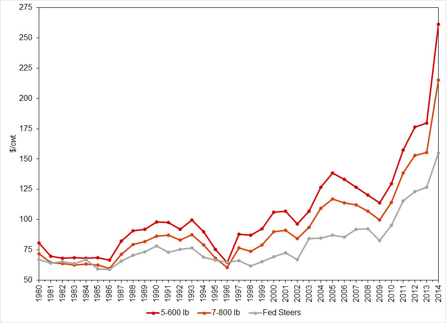 Figure 1: Annual Prices for Various Weight Feeder Steers and Fed Steers in Nebraska, 1990-2014