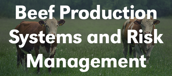 Beef Production Systems and Risk Management