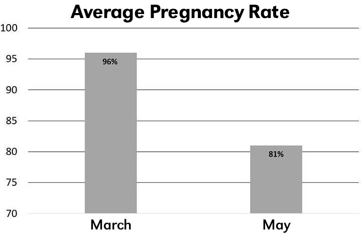 Graph of average pregnancy rate