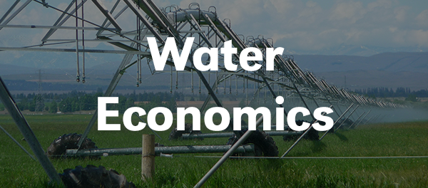 Water Economics