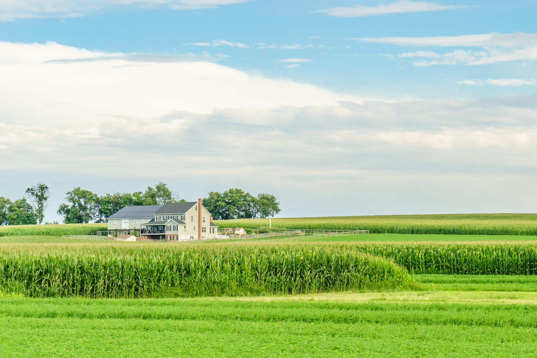 frequently-asked-questions-farmland-leases-updated-2020-agricultural-economics