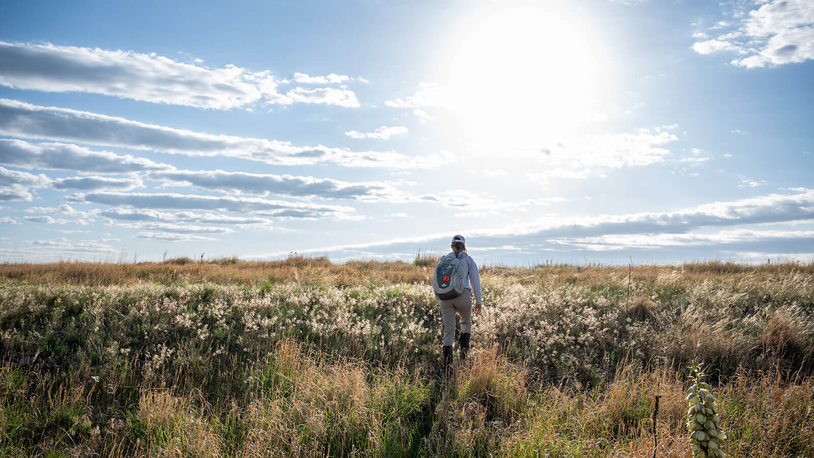 Student walking through native grass