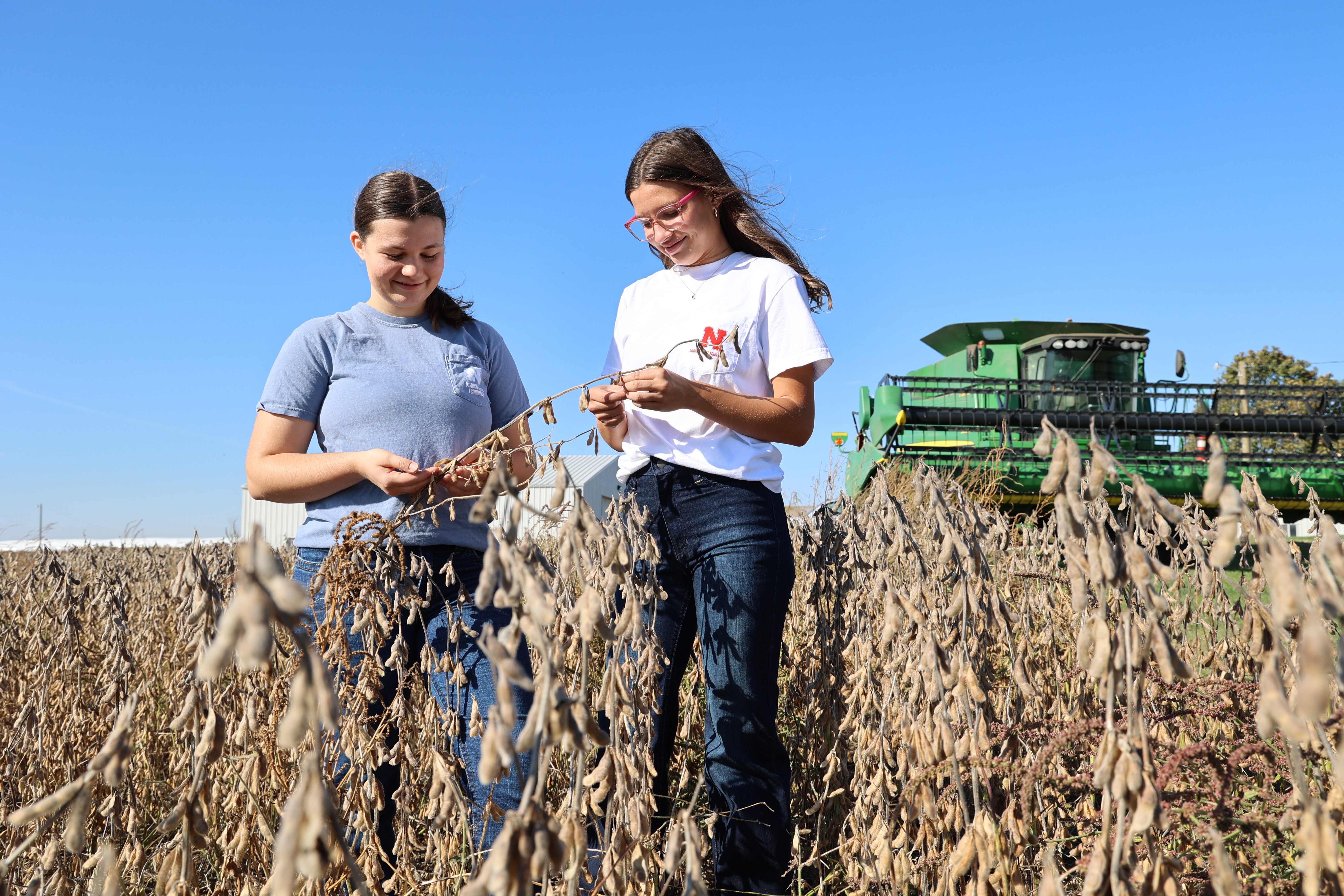 Ag Econ Students on a Soybean Farm
