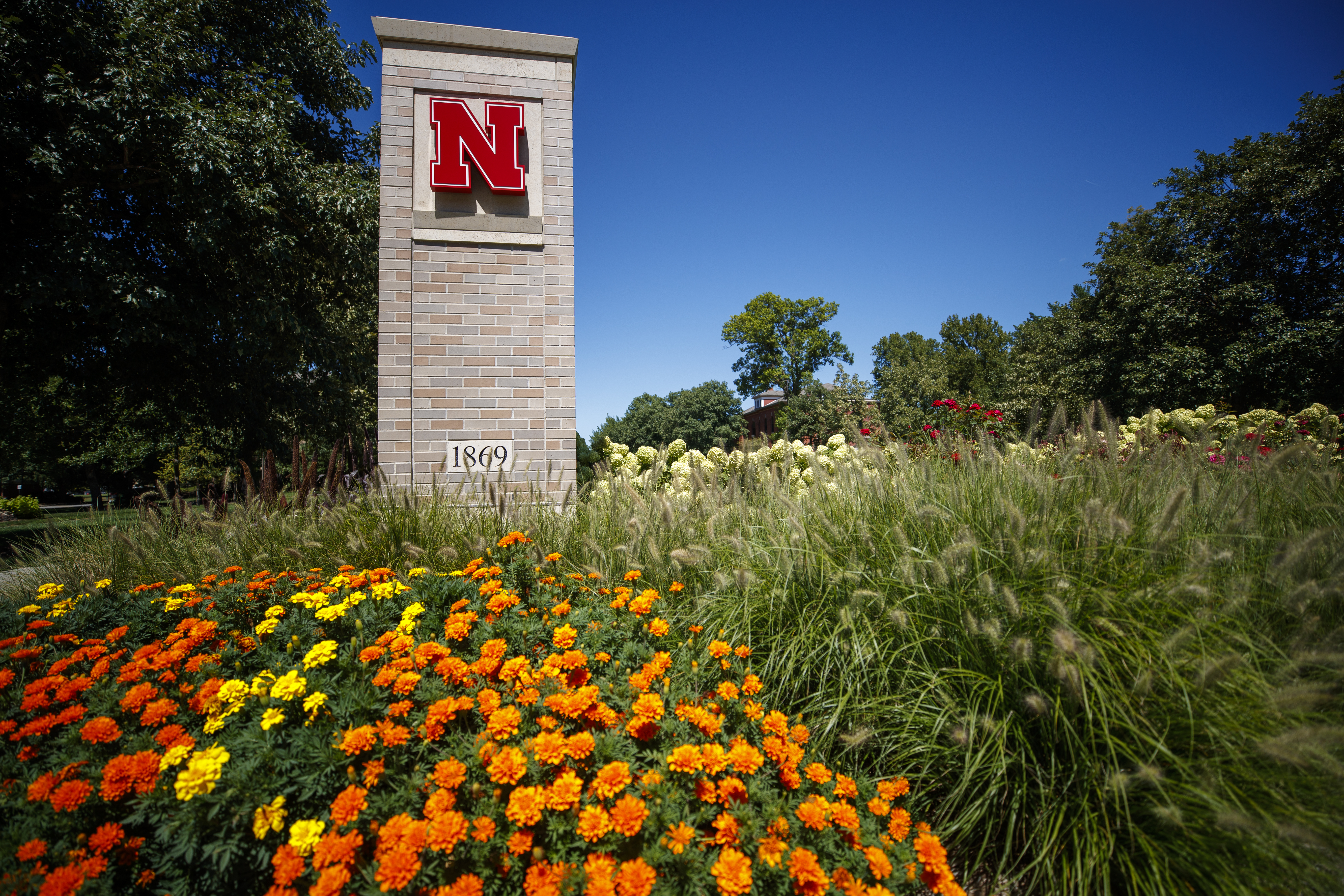 Campus Greenery