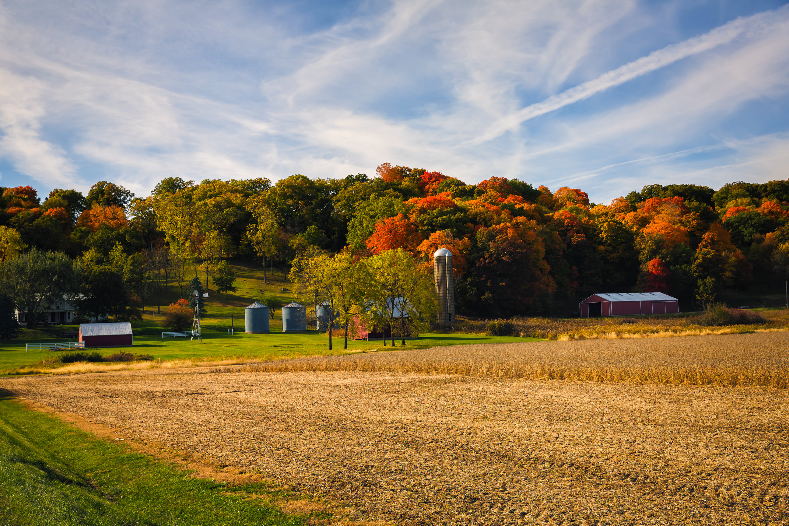 Farm