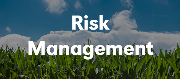 Risk Management