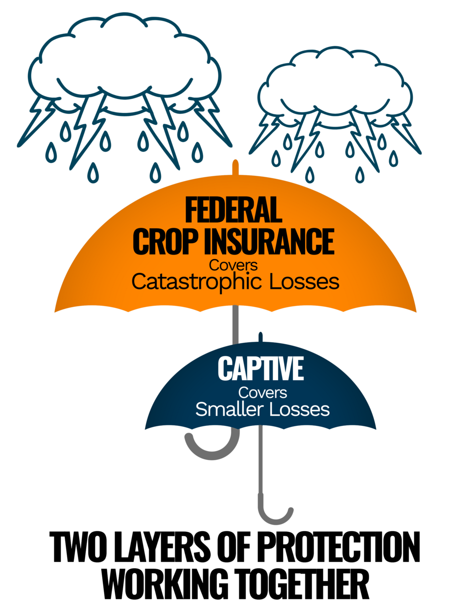 Illustration of the interplay between FPIC and Captives.